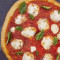 Margherita Magnet Pizza (Vegetarian)