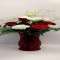 Tall Red Vase Assorted Flower Bouquet