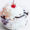 Regular Hot Fudge Sundae