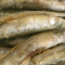 Smelt ปลาไข่ทอด