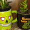 B Seasonal Mug Planters