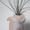 Fox Airplant Planter A