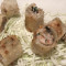 Crispy Rolls (2Pcs)