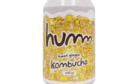 Humm Zitronen-Ingwer 33Cl