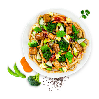 Japanese Tofu Udon Noodles (Vegetarisch)