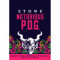 4. Stone Notorious P.O.G. Berliner Weisse