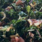Caesar-Grünkohl-Salat