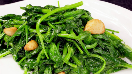 Pea Shoots (Standard) Suàn Chǎo Dà Dòu Miáo