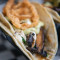 Portabella mushroom Taco