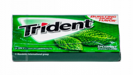 Trident 14 Stk Spearmint