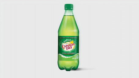 Ginger Ale 500 Ml Flasche