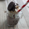 Oreo Shake 