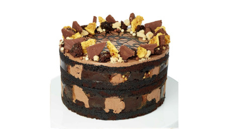 Chocolate Squidge Cake 8 (12 15 Slices)