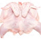 Spatchcock Baby Chicken Skin Off 800-1000G