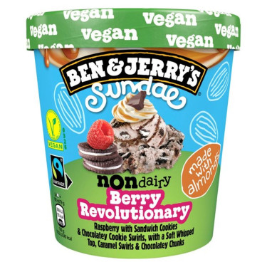 Ben Jerry's (Sundae Nondairy Berry Revolutionary)