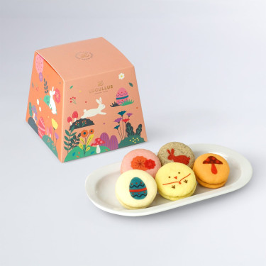 Xiǎo Tù Lè Yuán Mǎ Kǎ Lóng Qū Qí Lǐ Hé (5Jiàn Zhuāng Bunny Wonderland Macaron Cookie Gift Box (5Pcs