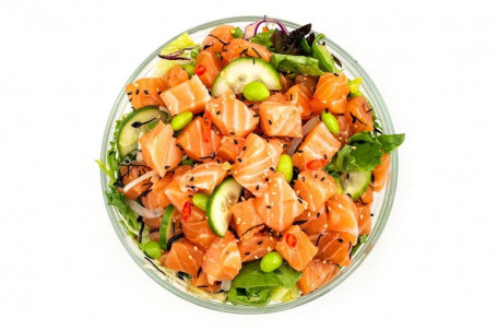 Poke-Salat Groß (3 Proteine)