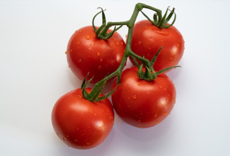 Tomaten