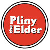 22. Pliny The Elder
