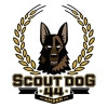 7. Scout Dog 44