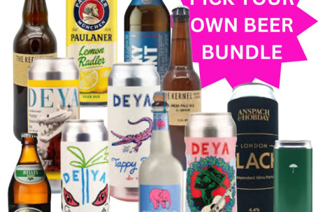 Pick Your Own Four Craft Beer Can Bundle
