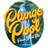 Plunge Pool Peach Wheat Ale