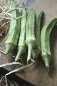 Gebratene Okra
