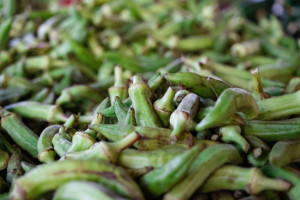Gebratene Okra