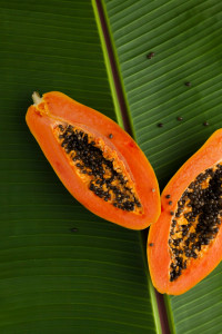 Papayasalat