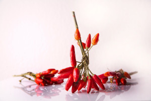 Chili-Huhn