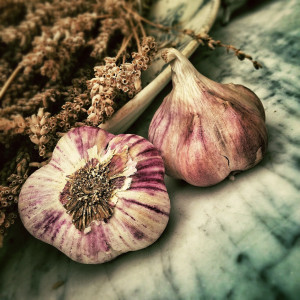 Würziger Knoblauch
