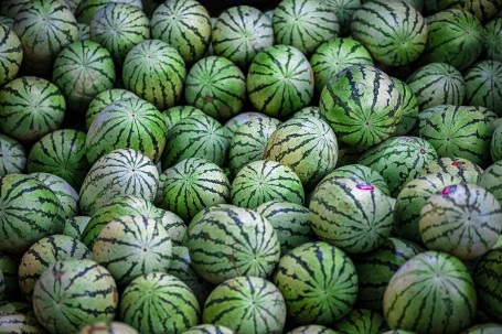 Wassermelonen-Mojito