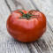 Frische Tomate