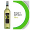 Pinot Grigio, Ecco Domani, Italien