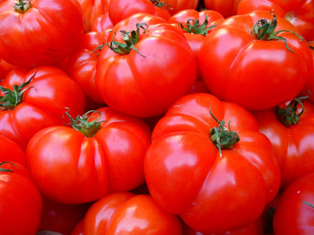 Frische Tomaten