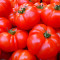 Frische Tomaten