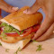 Gebratenes Flunder Sandwich