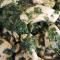 Hühnchen Saag