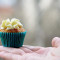 Karotten-Cupcake