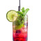 Tropischer Mojito