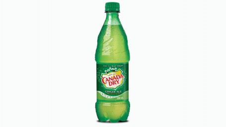 Canada Dry Ginger Ale 500 Ml Flasche