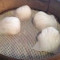 Shrimp Dumplings Xiajiao (5)