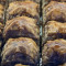 72 Piece Chocolate Baklava