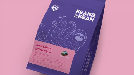 Guatemalan Geisha 12 Oz Freshly Roasted Whole Beans