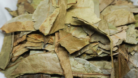 Soursop Leaves