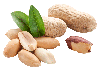 Gebratene Erdnüsse