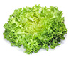 Grünblattsalat