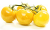 Gelbe Kirsch-Tomaten