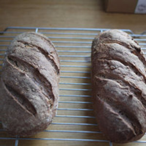 Pumpernickel-Brot