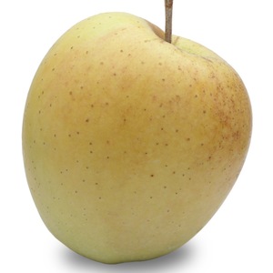 Goldene köstliche Äpfel